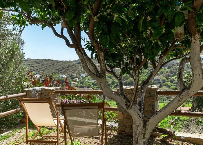 Apartment Stenies'nook Andros Town